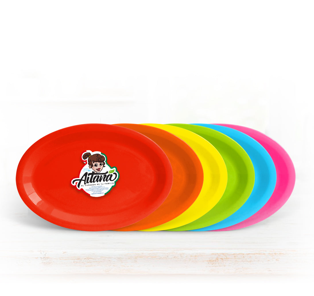 Plato tampiqueño color #13